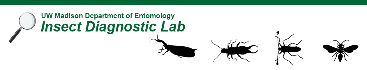 Insect Diagnostic Lab