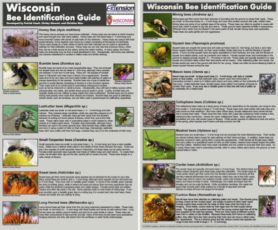 wi-bee-id-guide
