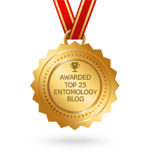 Top Entomology Blog Award