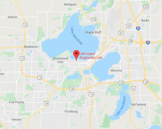 Map to the UW Insect Diagnostic Lab