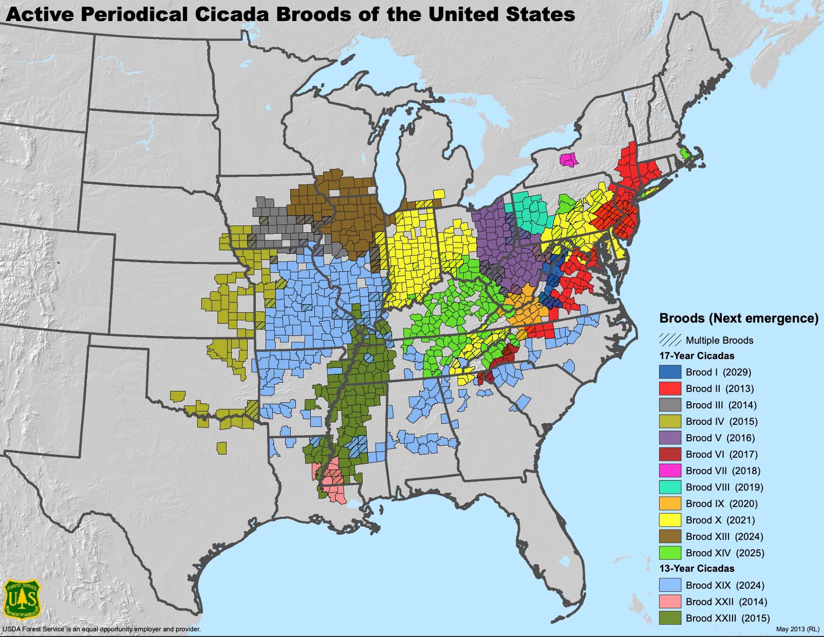 Periodical Cicada Brood Map from US Forest Service