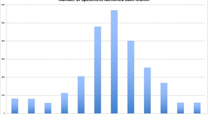 Hindsight: 2020 Trends at the Wisconsin Insect Diagnostic Lab