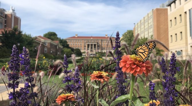 The Monarch’s Precarious Position