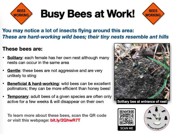 A yard sign about wild bees