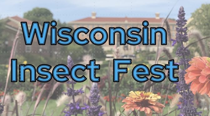 Wisconsin Insect Fest Comes to Upham Woods –  August 2023